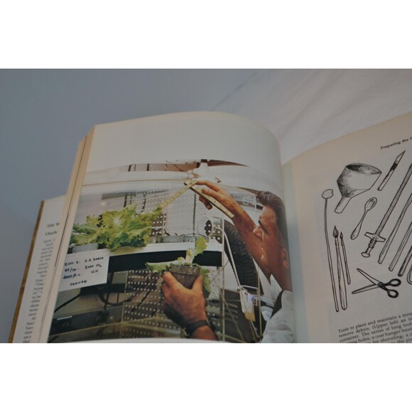 Terrariums 1970s Are Back The World of Terrariums 1975s  Design Building Caring - Picture 7 of 7